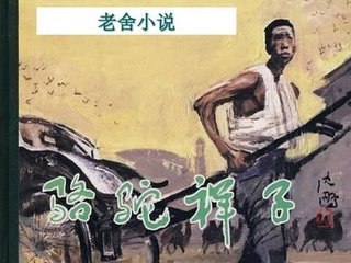 猫咪在线观看网站入口